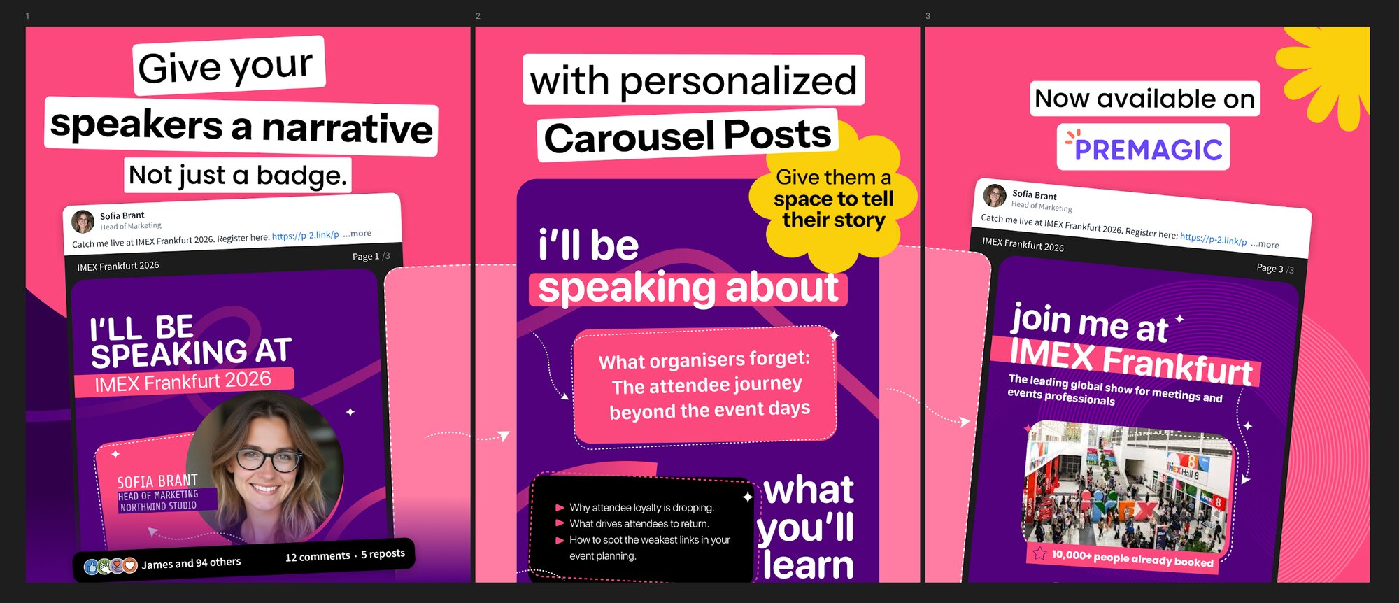 Organizer dashboard showing customization options for a three-slide LinkedIn carousel poster